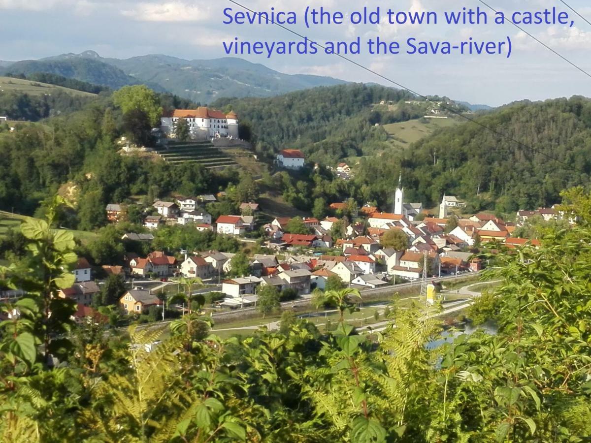 Вілла Getaway "At The Three Lights" Sevnica Екстер'єр фото
