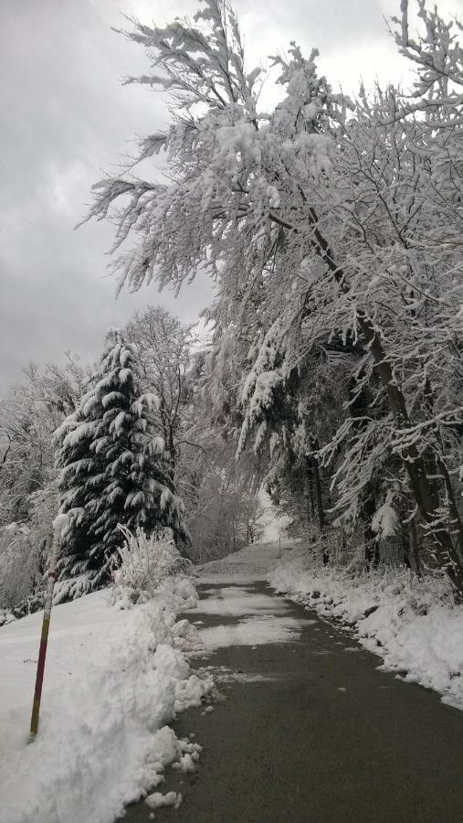 Вілла Getaway "At The Three Lights" Sevnica Екстер'єр фото